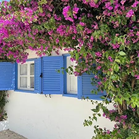 Apartamento Casa Mellis Aguamarga Agua Amarga (Almeria)